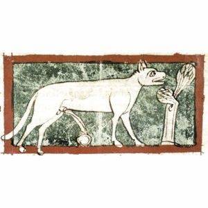 Lynx Spirit Animal: 10 Powerful Spiritual Meanings & Symbolism