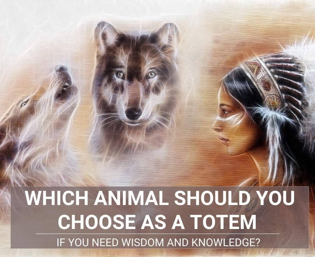 Which Animal Should You Choose as a Totem if You Need Wisdom and Knowledge? Which Animal Should You Choose as a Totem if You Need Wisdom and Knowledge?