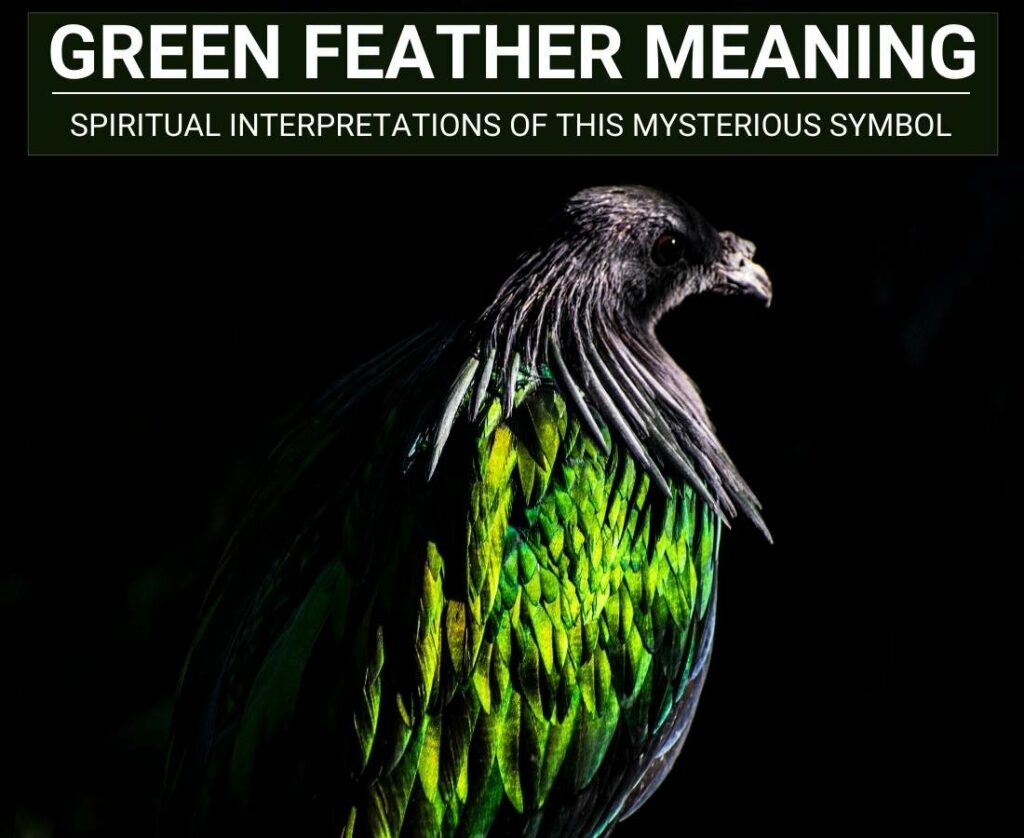 Green Feather Meaning