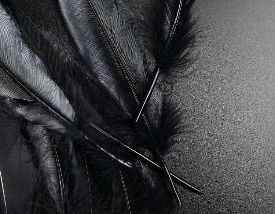 black feather symbolism