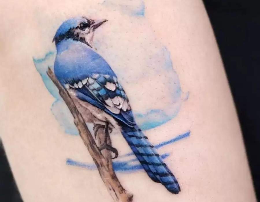 bluebird tattoo nice