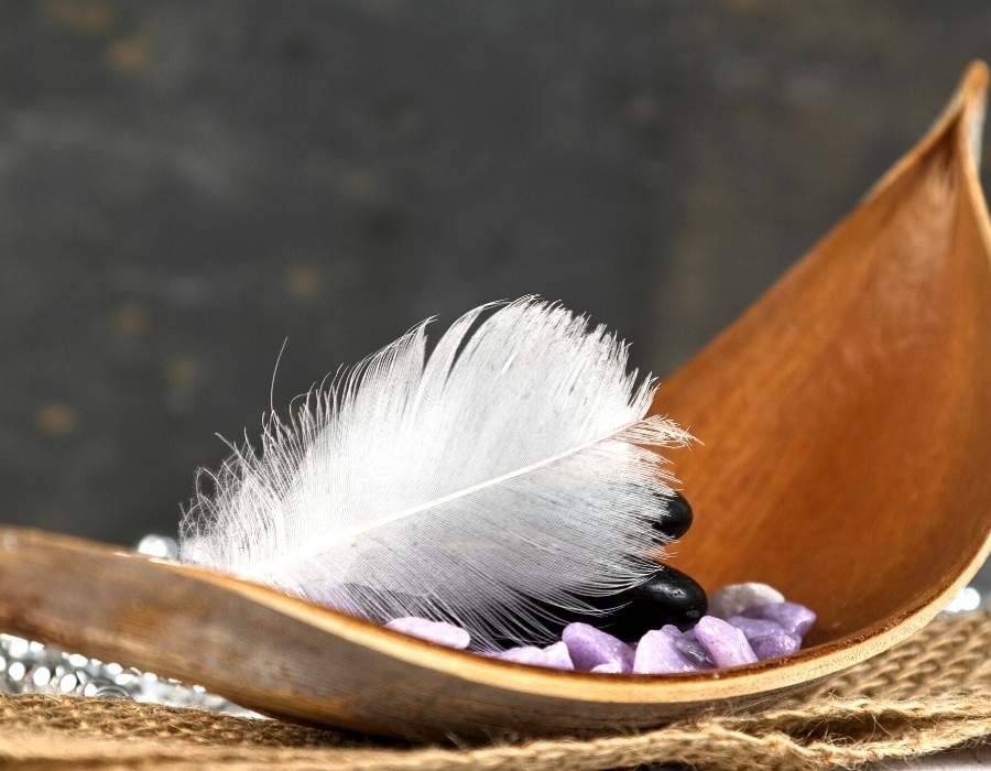 feather on woods Black and White Feather Symbolism: How to Interpret the Spiritual Meaning