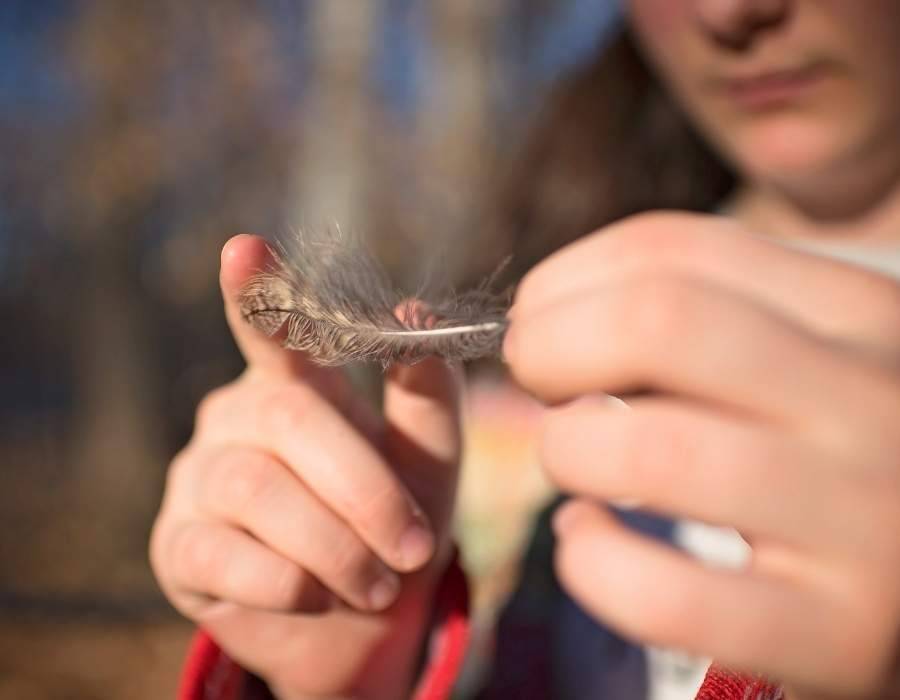 finding a feather