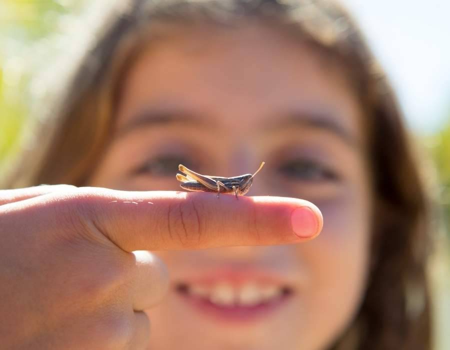 grasshopper landing on girl