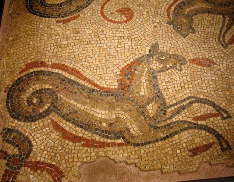 Seahorse Symbolism What Your Seahorse Spirit Animal Means