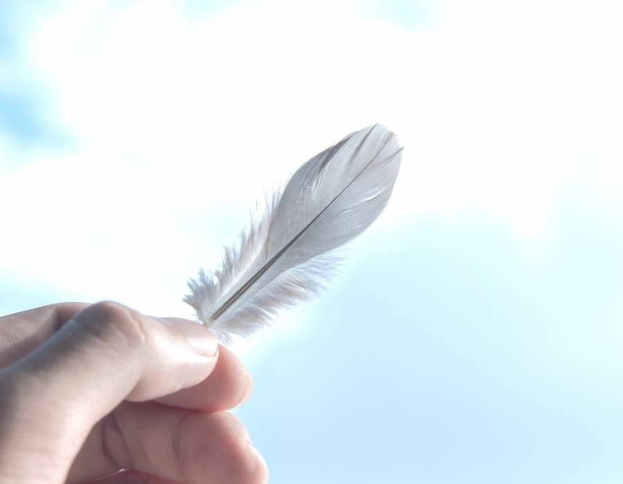 holding grey feather