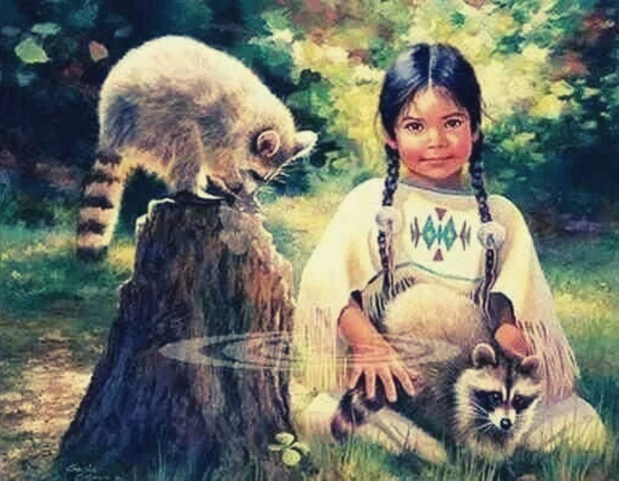 Raccoon in Native American art