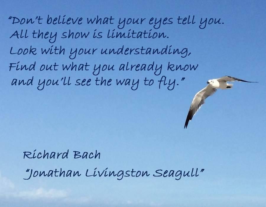 richard bach seagull