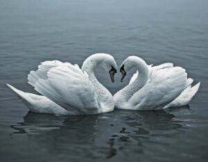 Dead Swan Meaning: Spiritual Symbolism & Transformation Guide