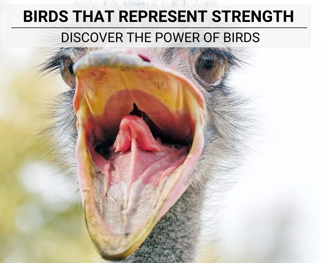 Birds That Represent Strength