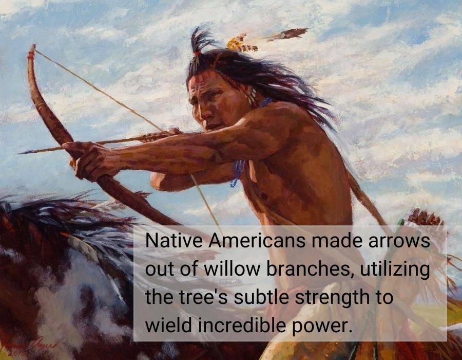 native americans arrows