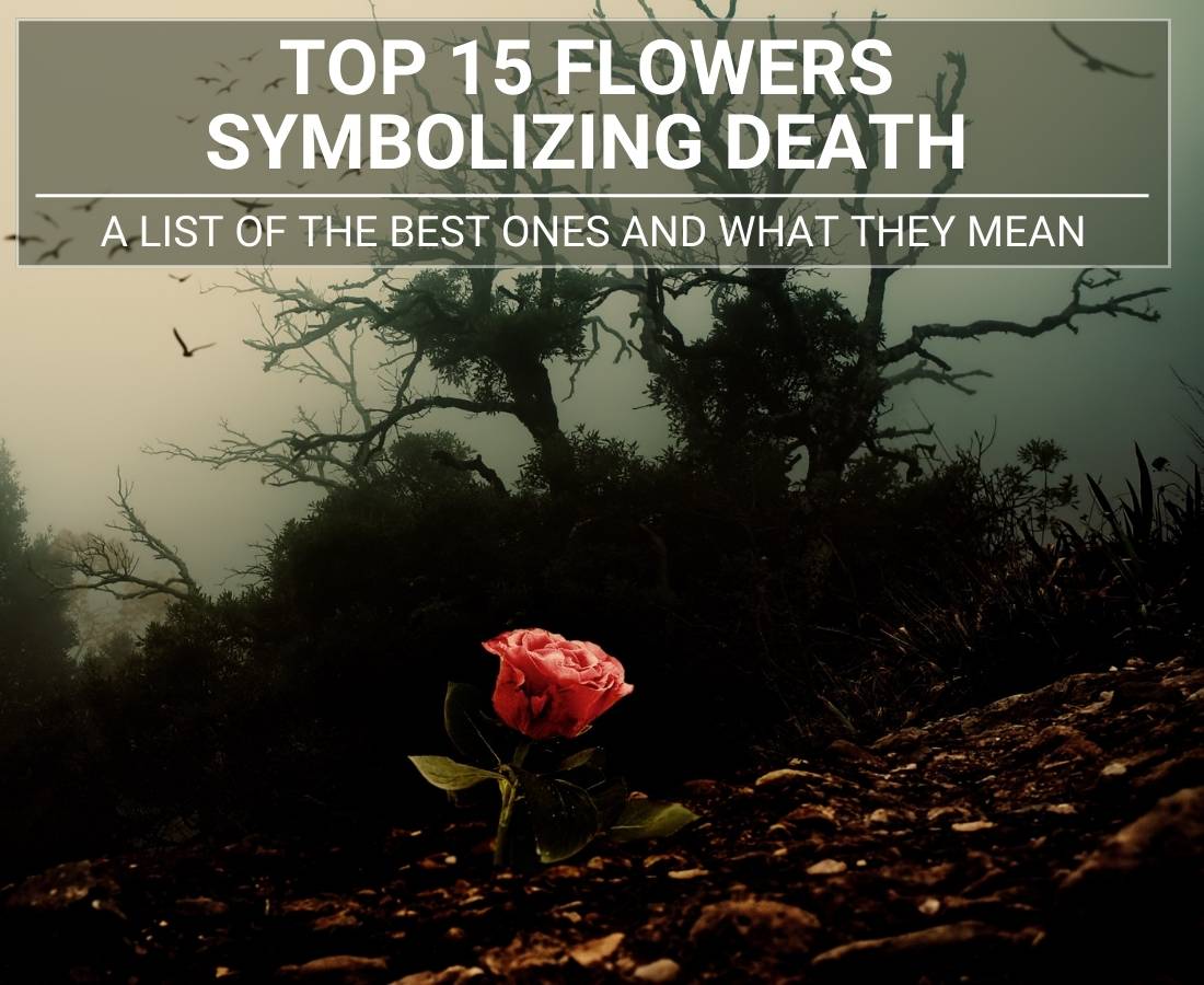 Flowers Symbolizing Death