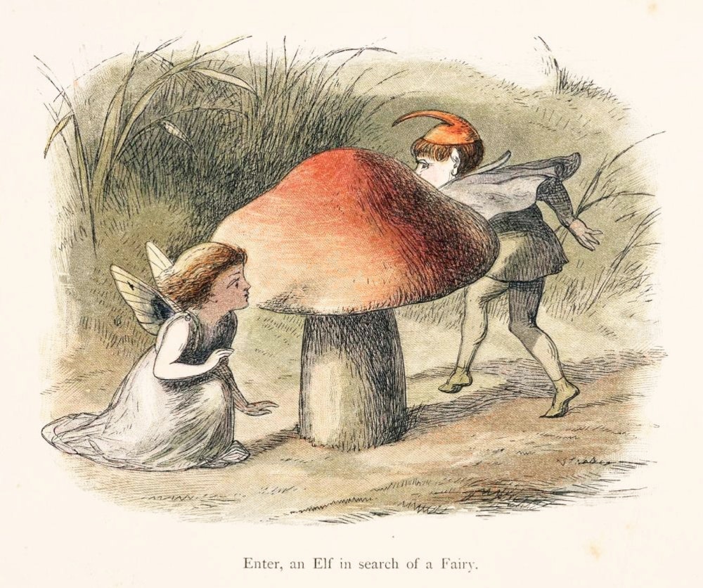 Mushroom meaning Irleand