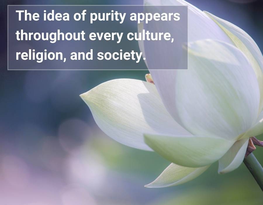 idea of purity