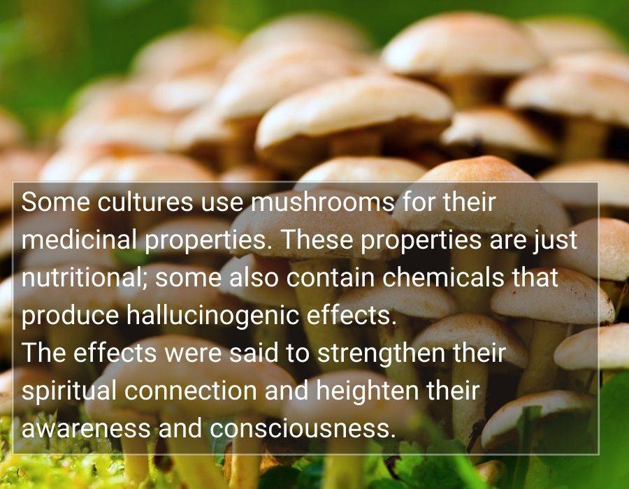 mushroom spiritual meaning