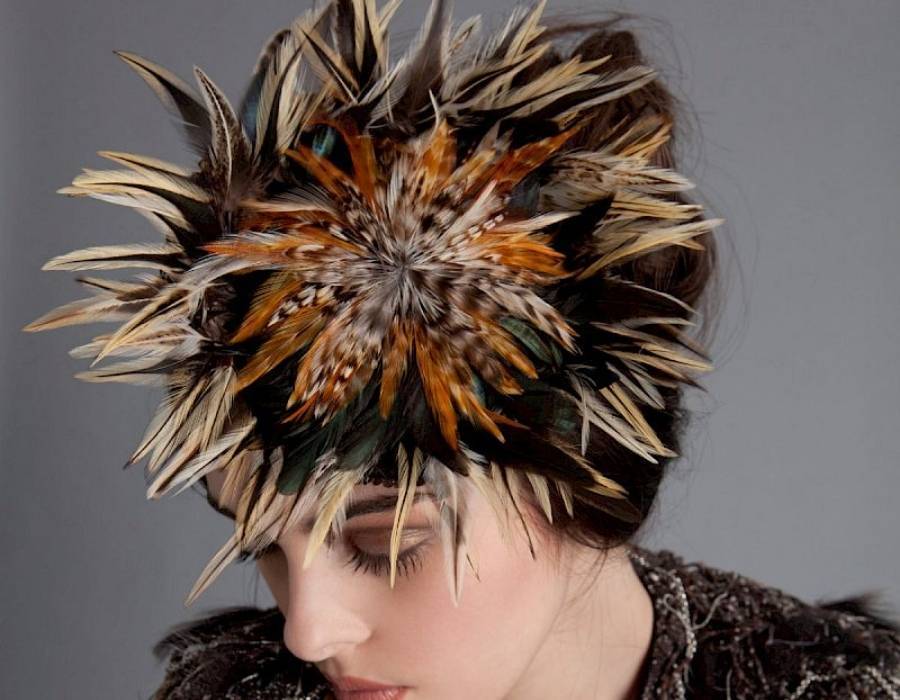 Pheasant feathers in fashion