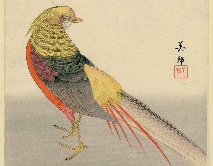 Pheasant in Japanses art