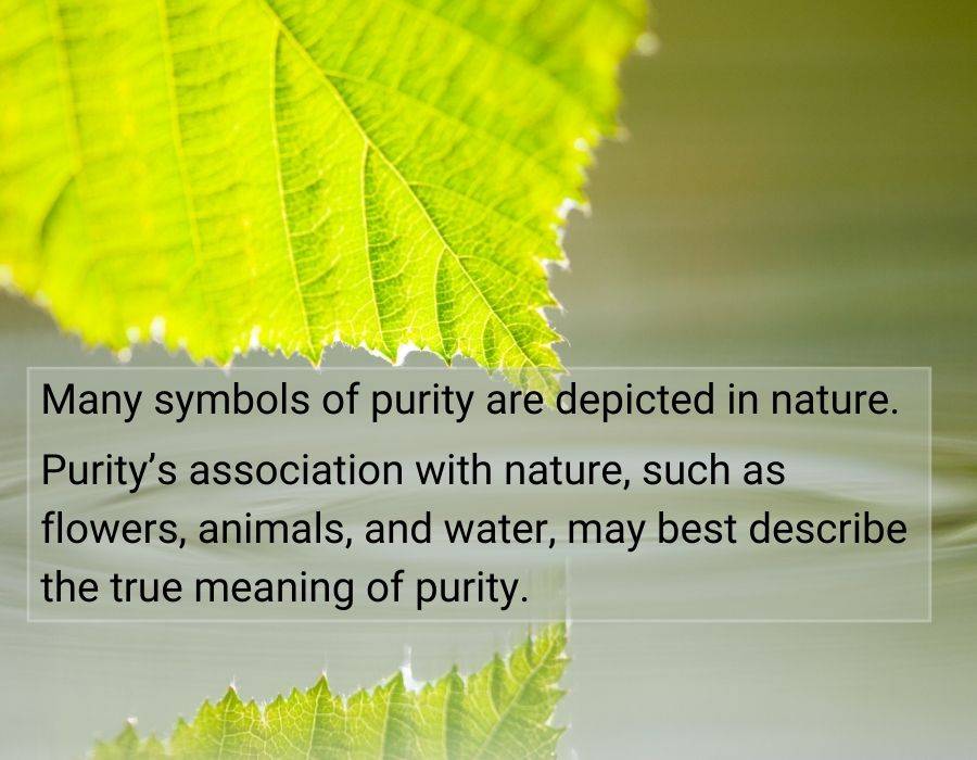 symbols puirty nature