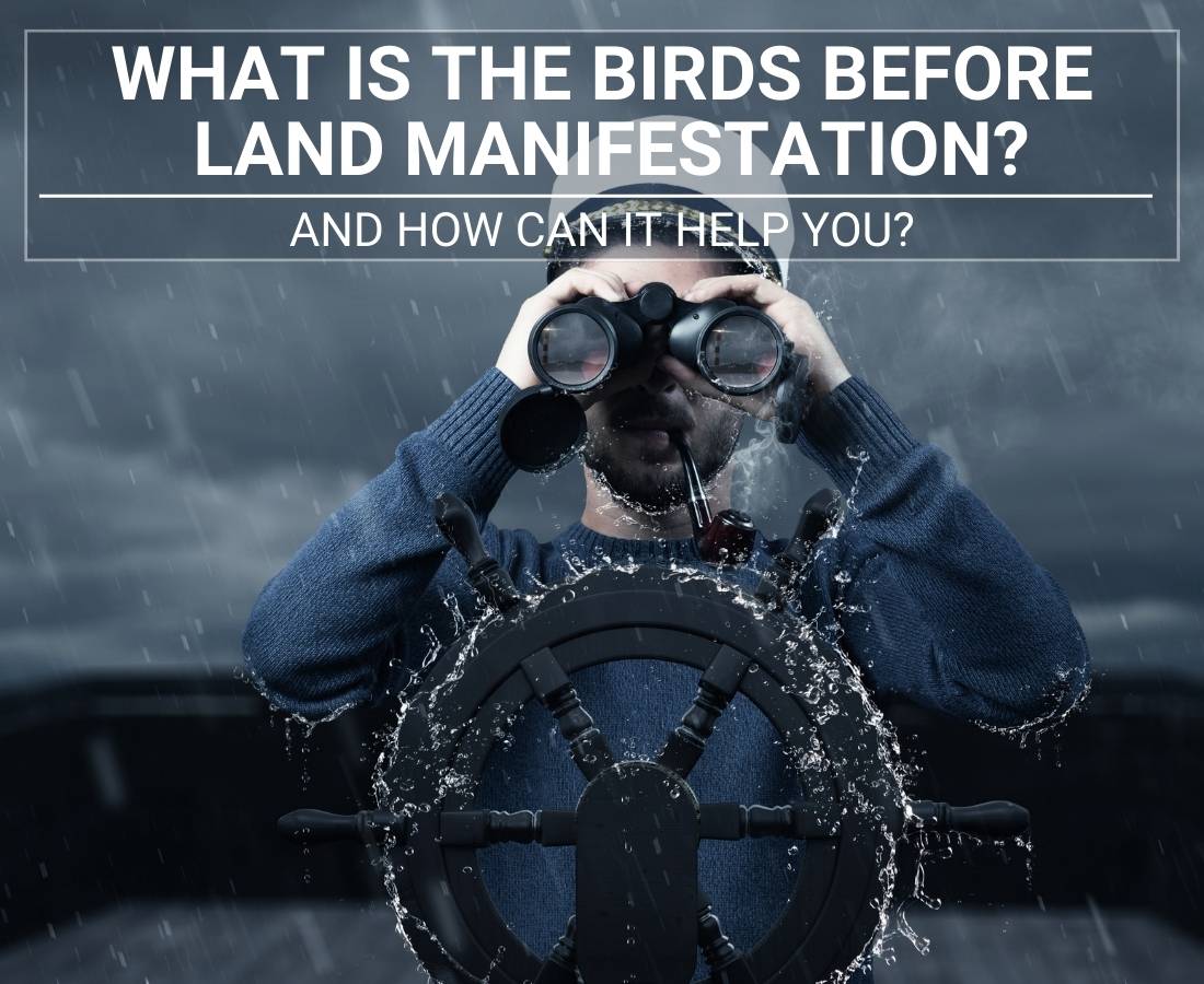 birds before land manifestation