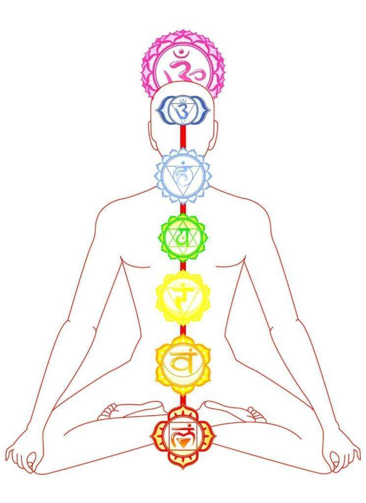 Where the 7 chakras are