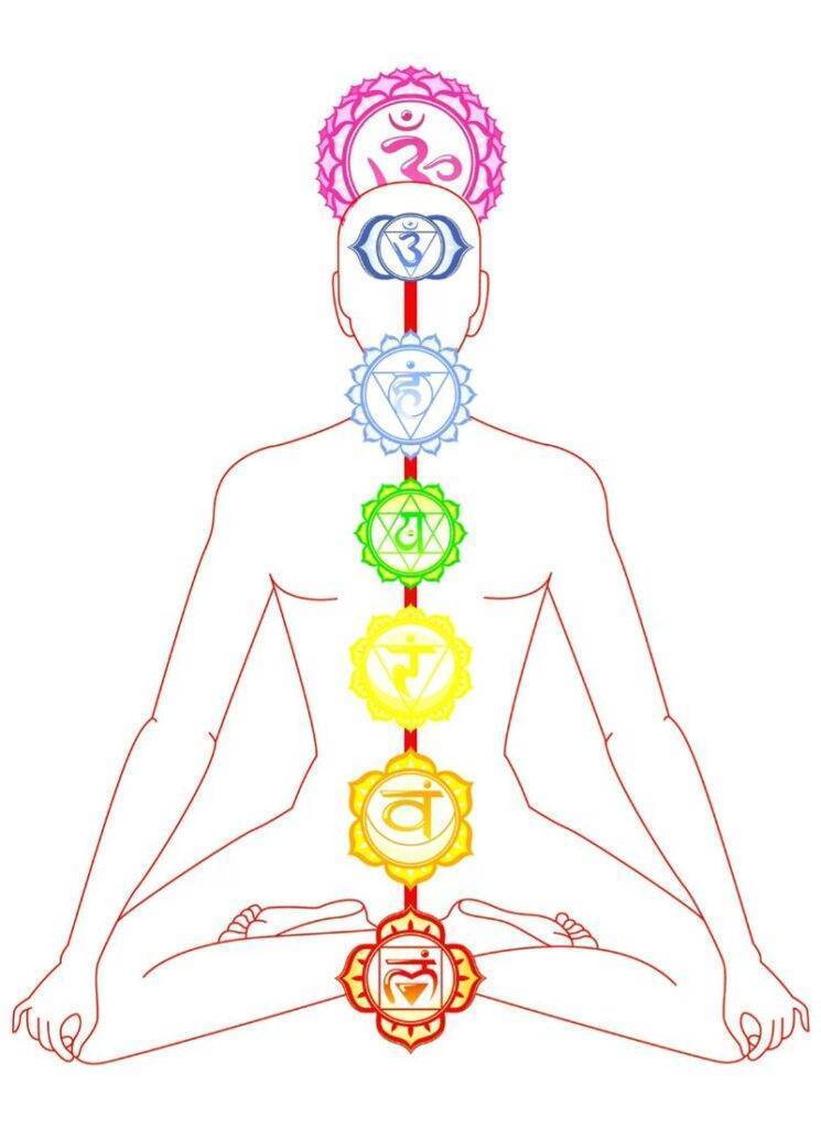 Where the 7 chakras are