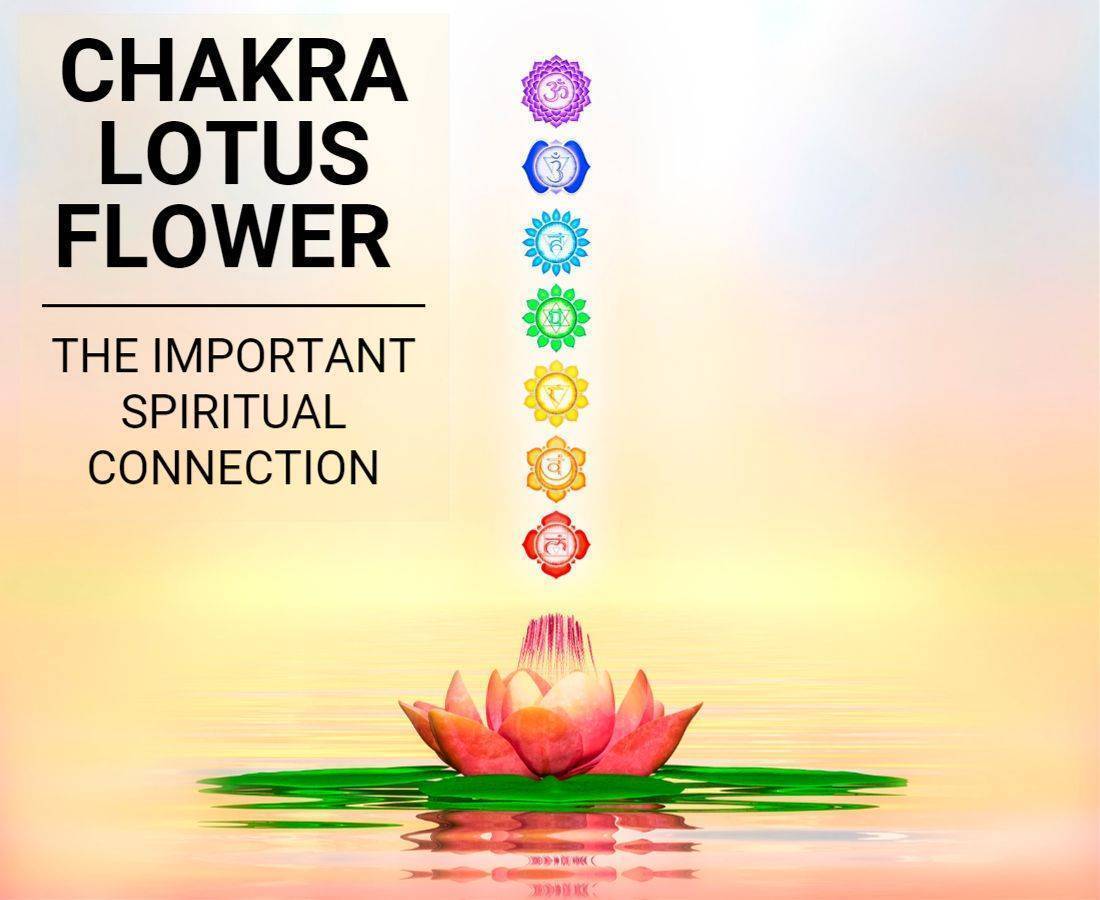 Chakra Lotus Flower