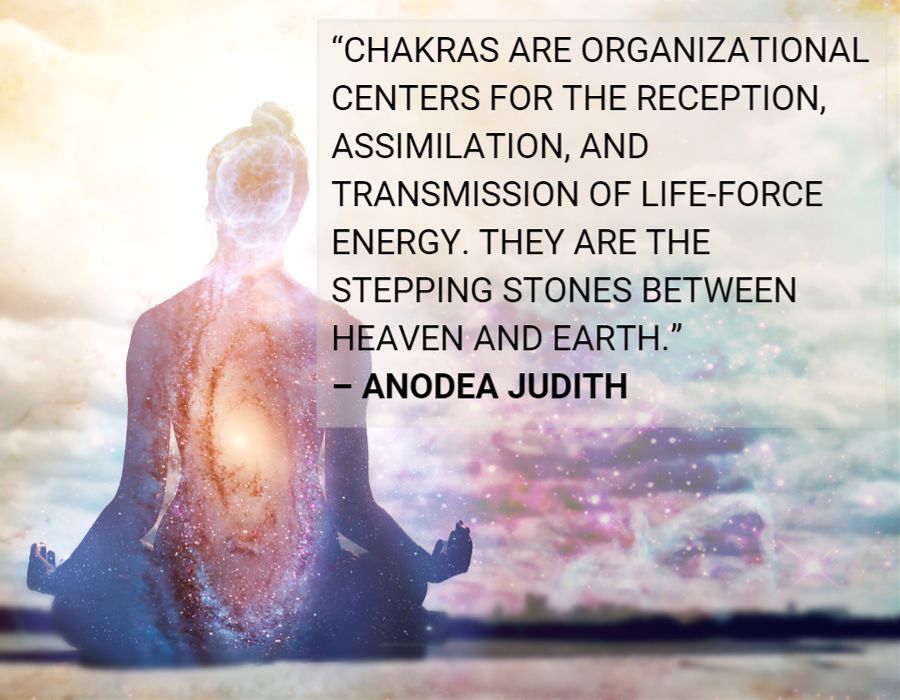 Chakras are organizational centers