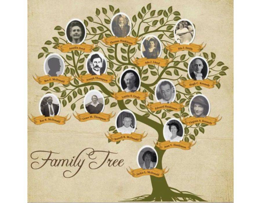 family tree