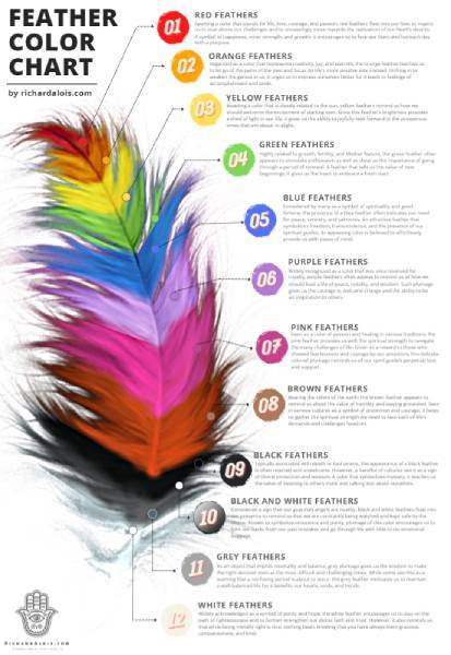 Feather color chart