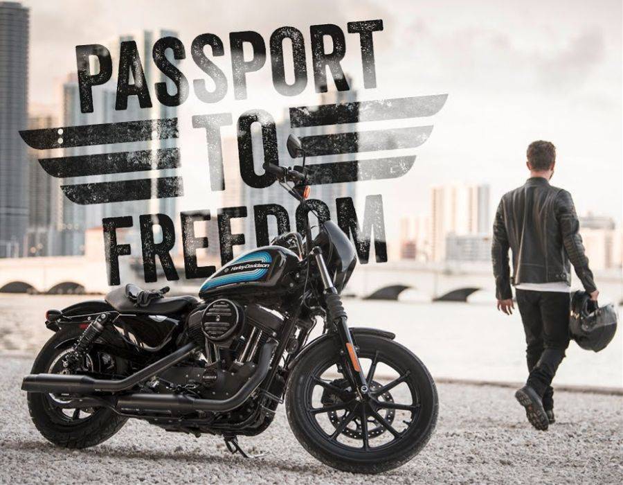 Harley Davidson freedom Unleashing the Freedom Symbols: The Priceless Power of Unrestraint