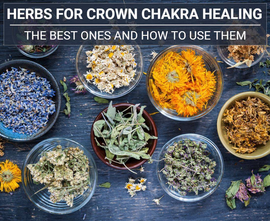 Herbs For Crown Chakra Healing