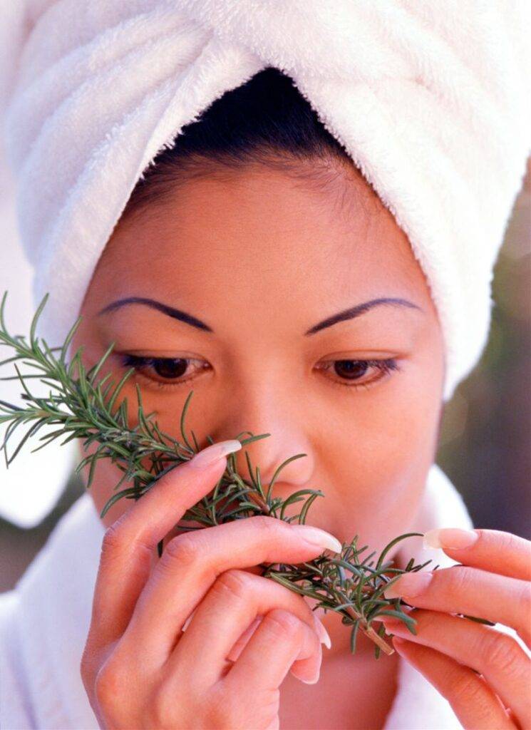 Rosemary crown chakra herb