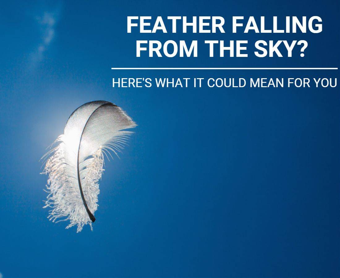 Feather Falling from the Sky meaning