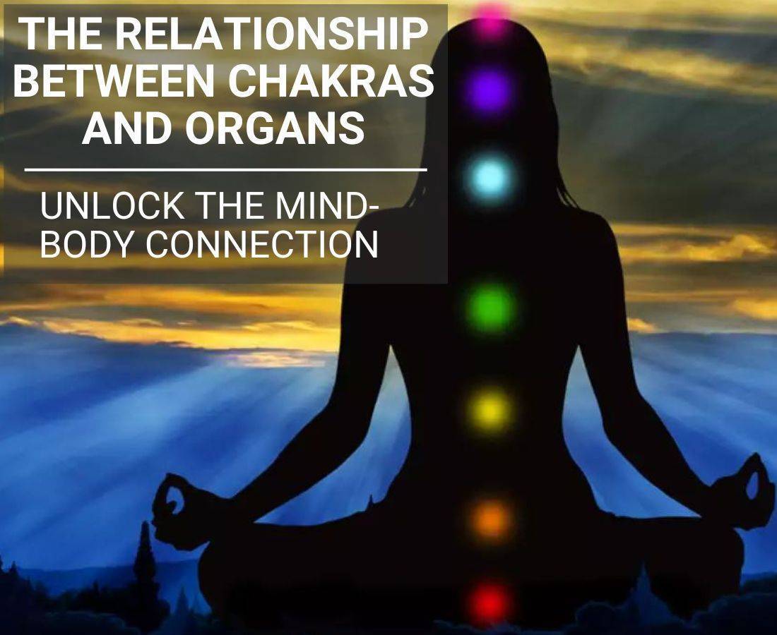 Chakras and Organs