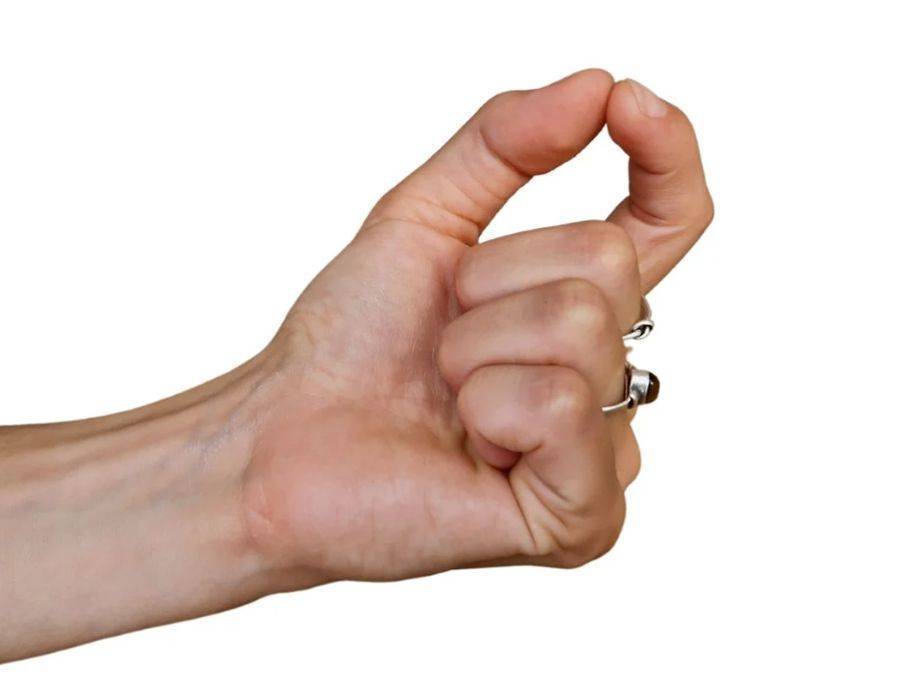 Chinmaya mudra