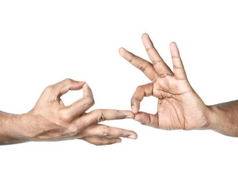 Dharmachakra mudra 