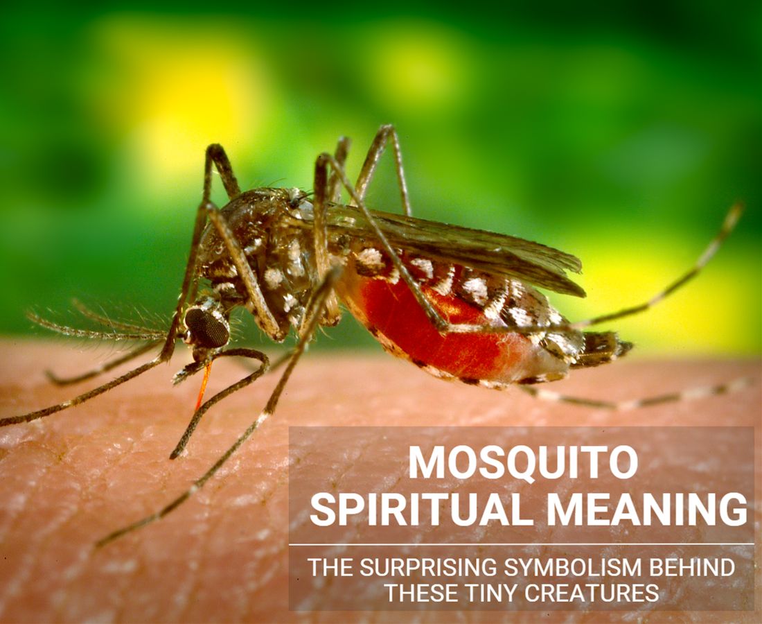 Mosquito Spiritual Meaning