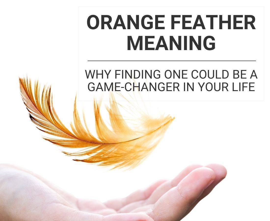 Orange Feather Meaning