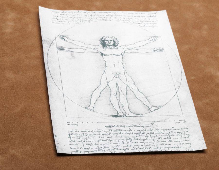 Vitruvian man