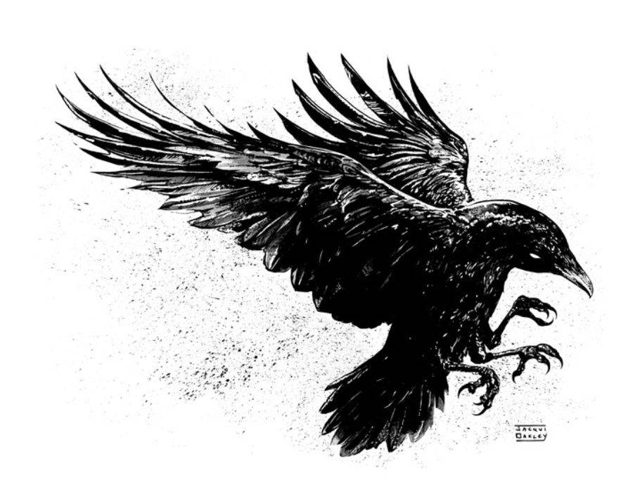 yatagarasu-crow-Japan