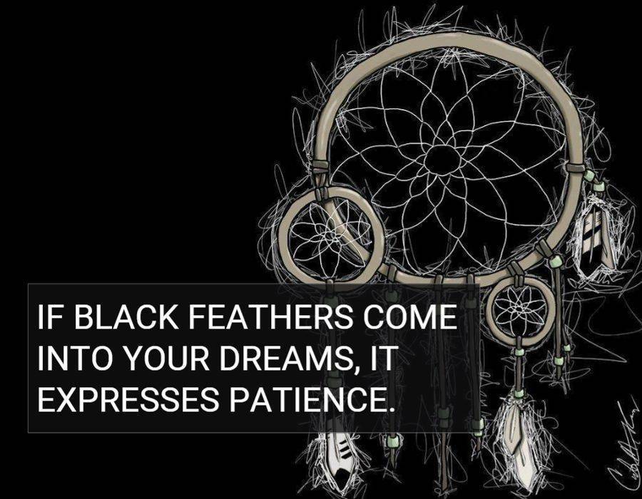 If black feathers come into your dreams, it expresses patience