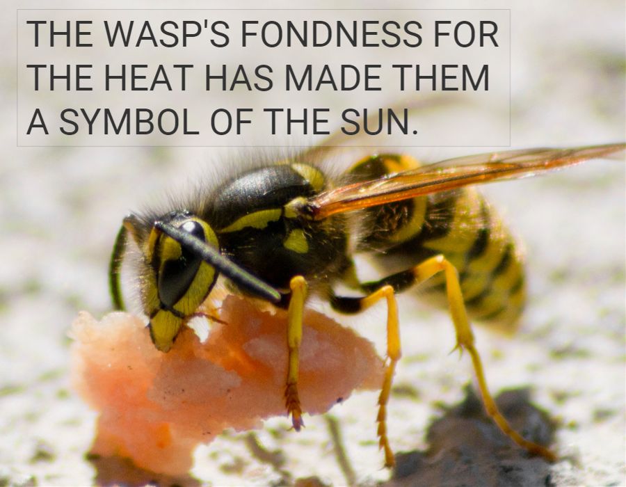 Wasp symbol of the Sun Wasp Spiritual Meaning: Uncovering the Hidden Significance