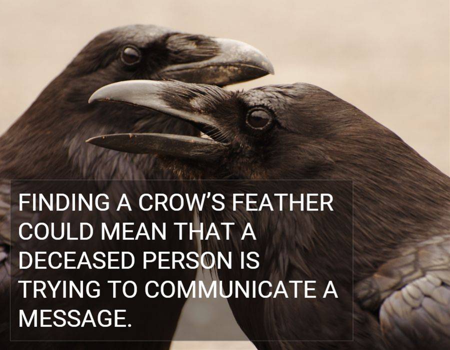 finding a crow feather meaning