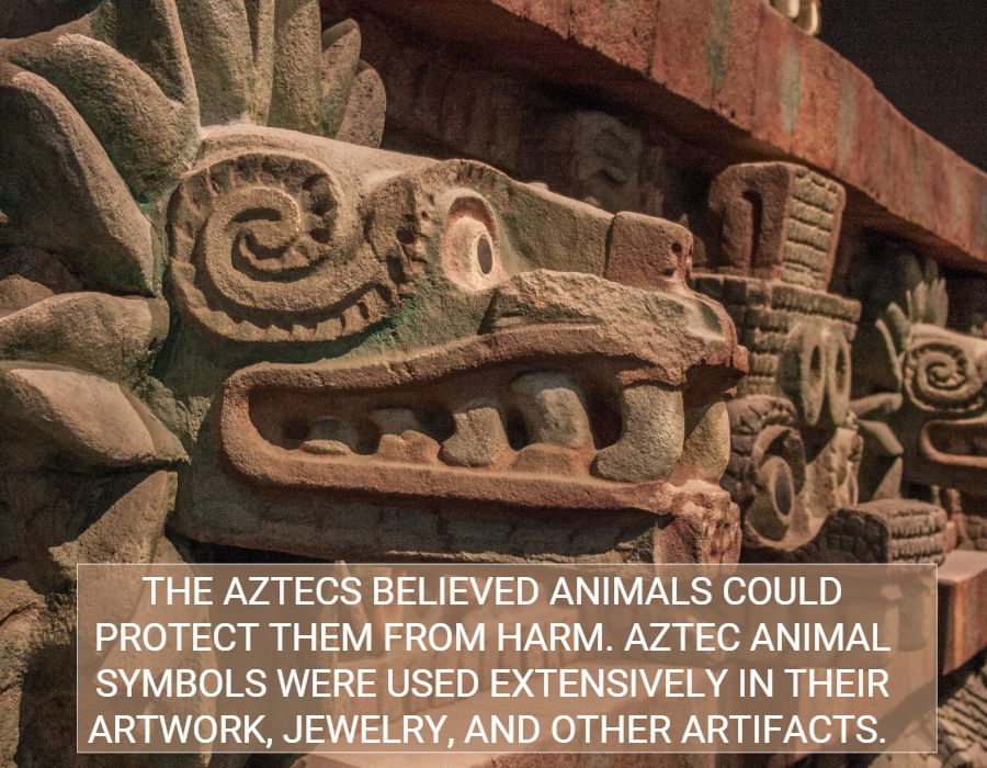 Aztecs animals protect