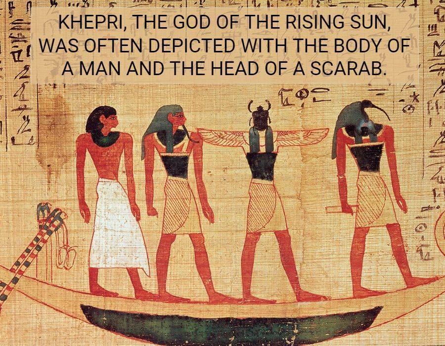 Khepri head scarab