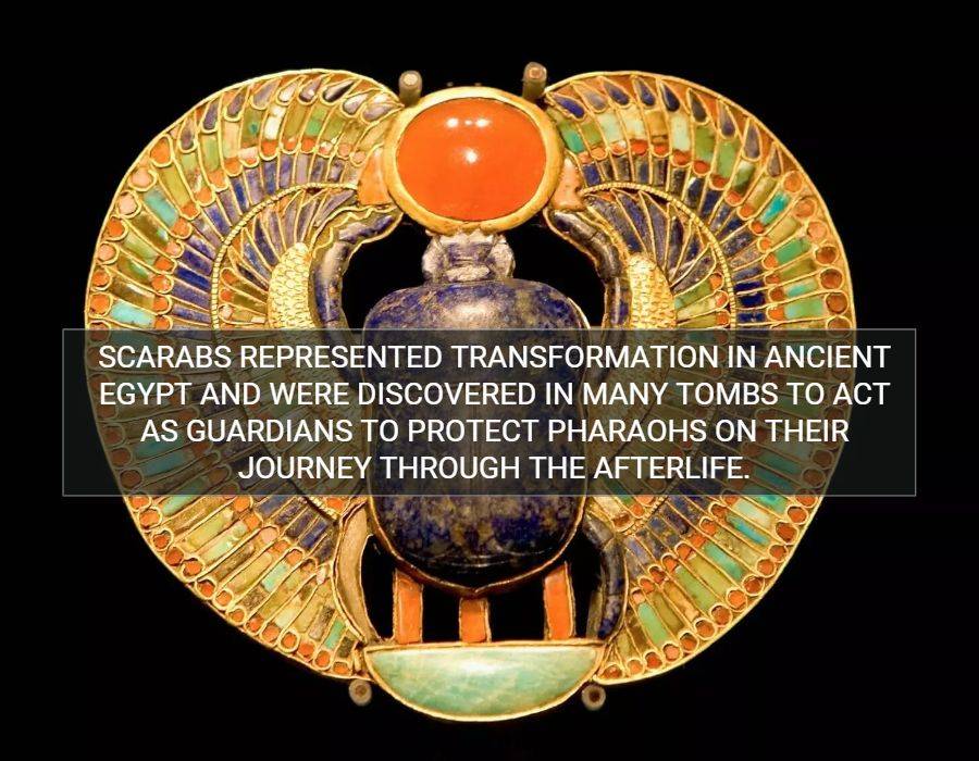 Scarabs represented transformation