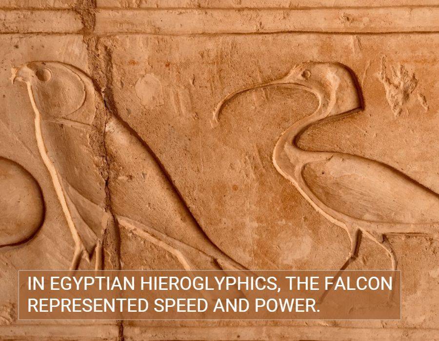 Falcon Egyptian hieroglyphics