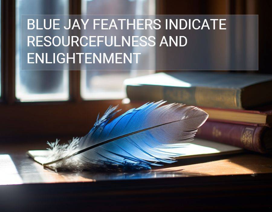 Blue jay feathers arranged in spiritual practice setting
