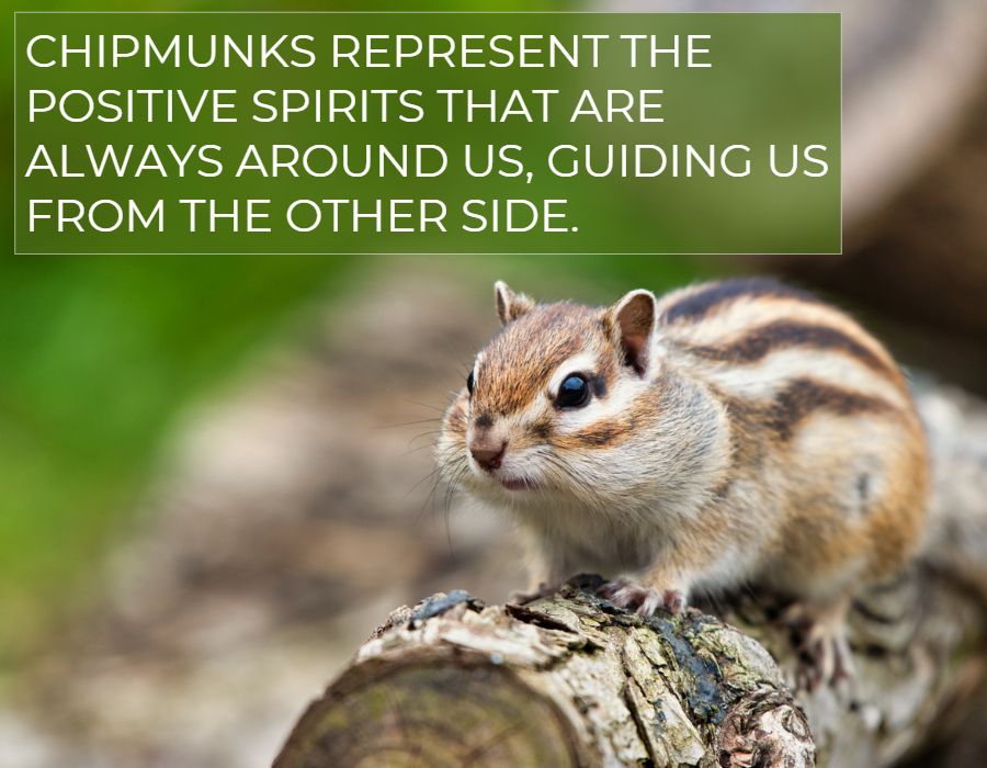 Chipmunks represent the positive spirits