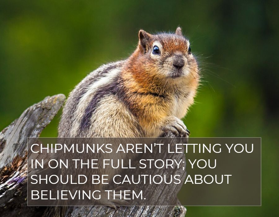 be cautious toward chipmunks.